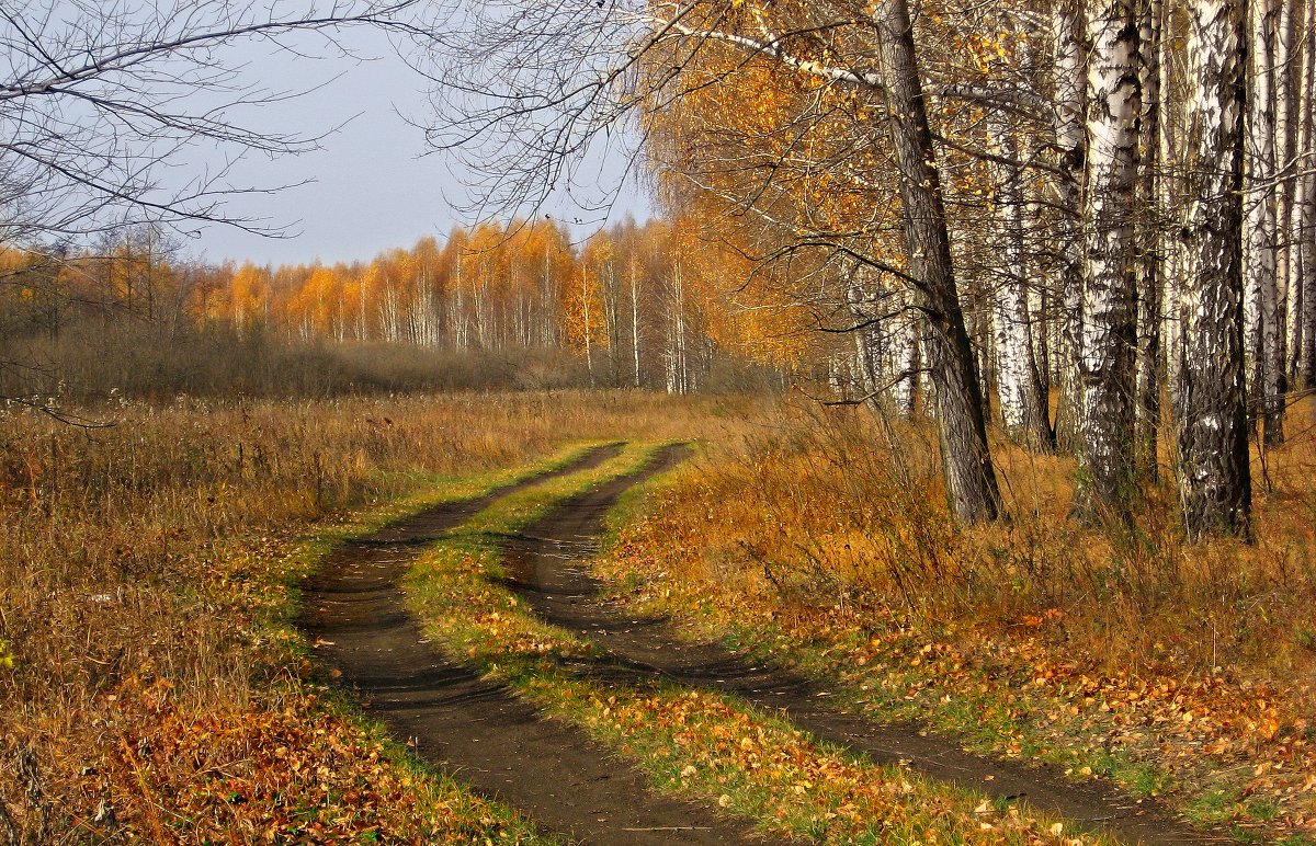Дорога в осень - Olenka 
