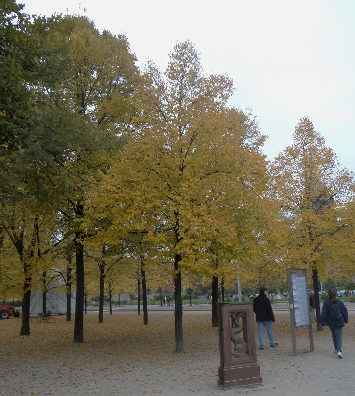 Осень в Берлине - susanna vasershtein