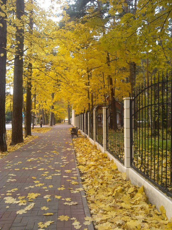Гуляя по парку - Nataly_ru 