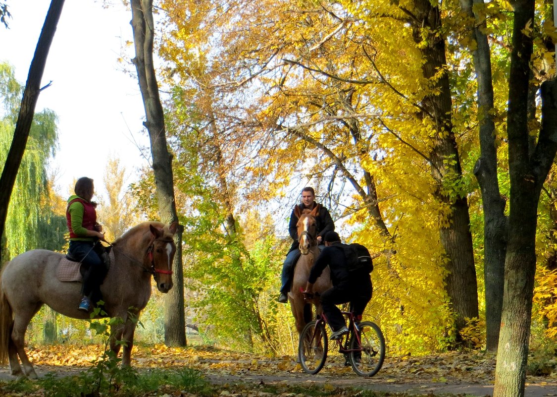 Глумливое ржание коней над их смешной проволочной имитацией в золотом ореоле октября - Ирина Сивовол