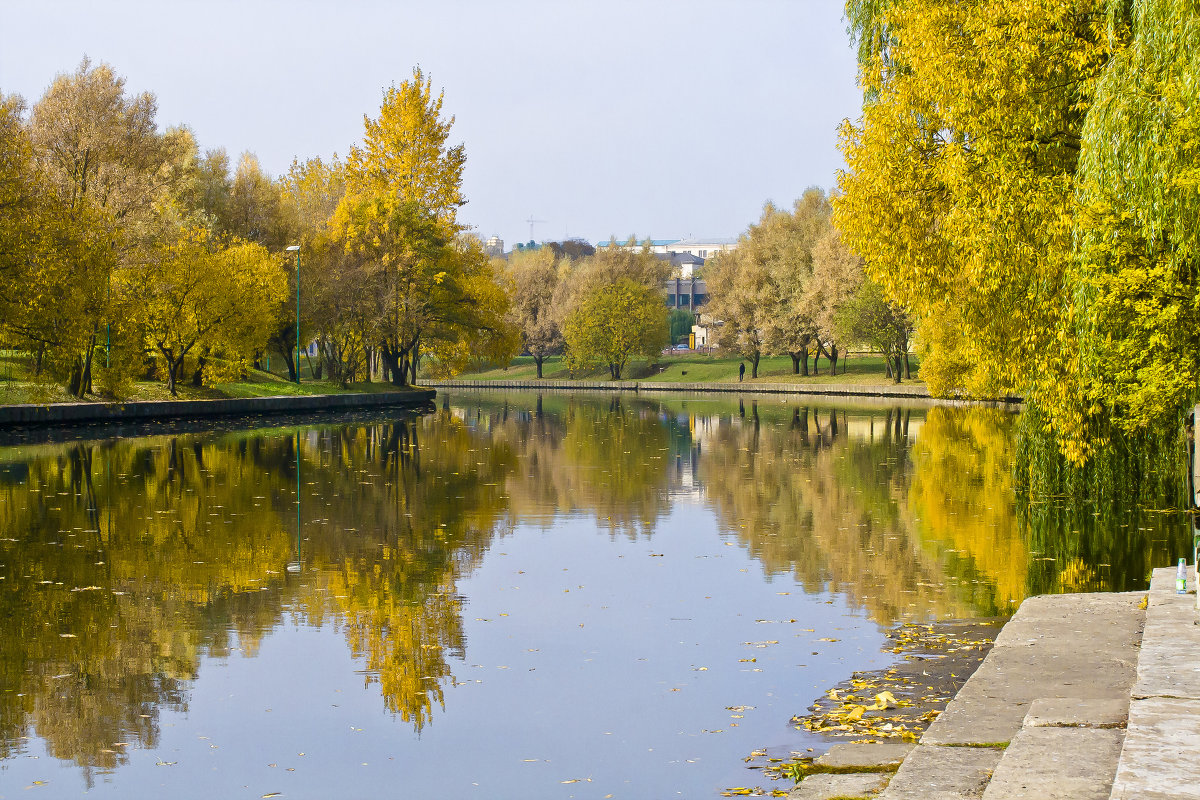 *** - Николай Климович