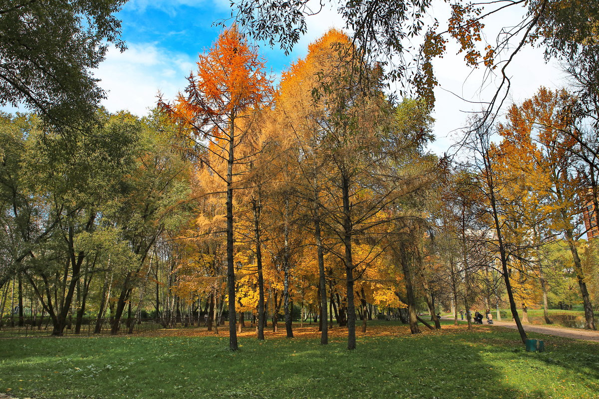 парк воронцово.осень.москва - юрий макаров