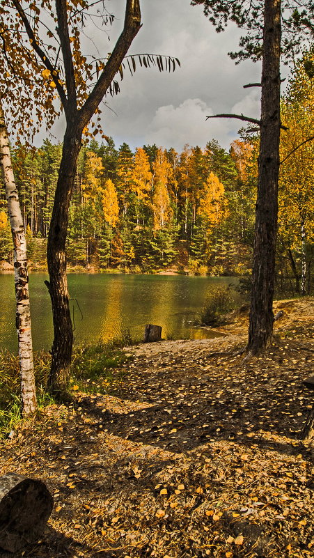 *** - Гомельчанка 