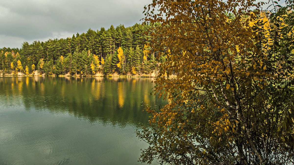 *** - Гомельчанка 