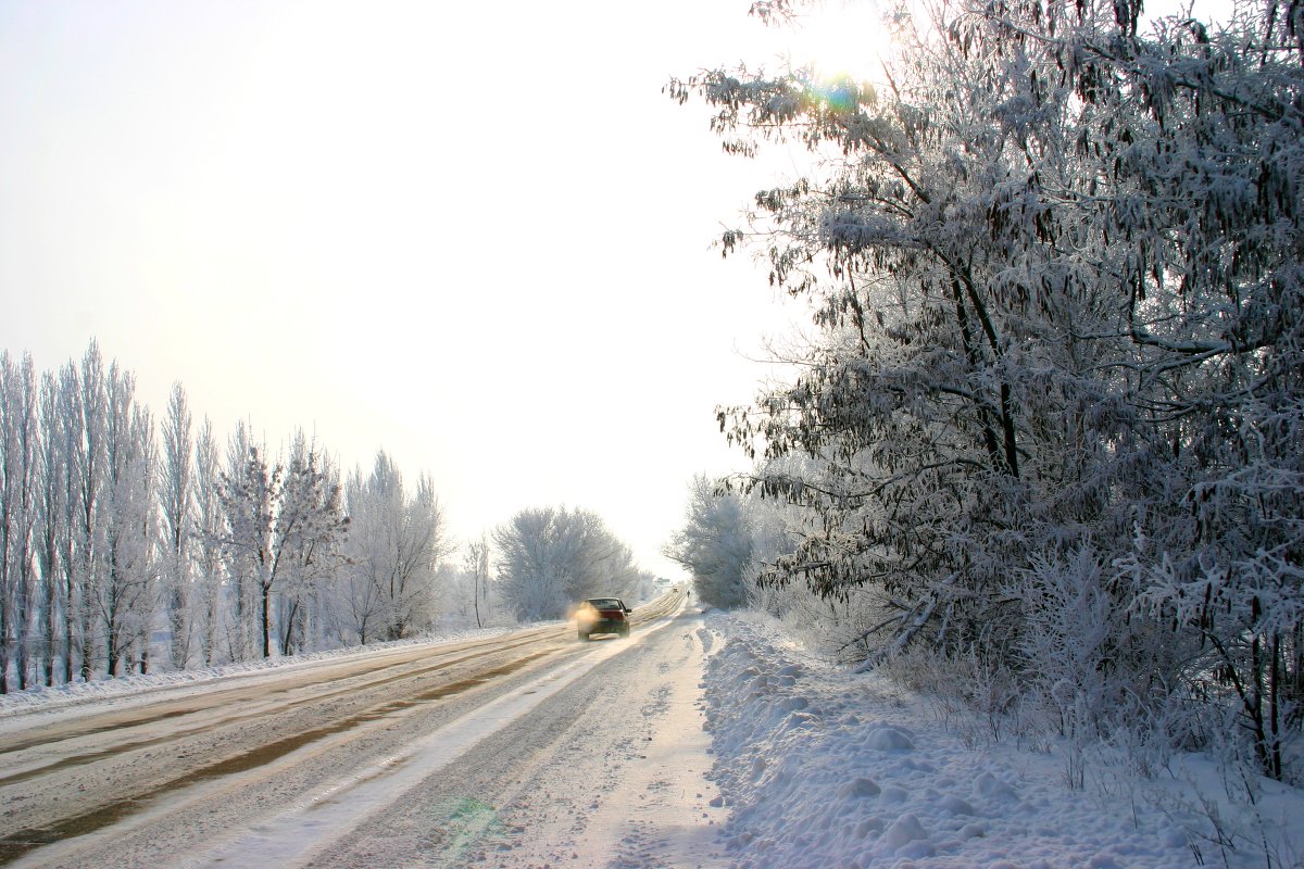 Зимняя дорога - Светлана Ропина