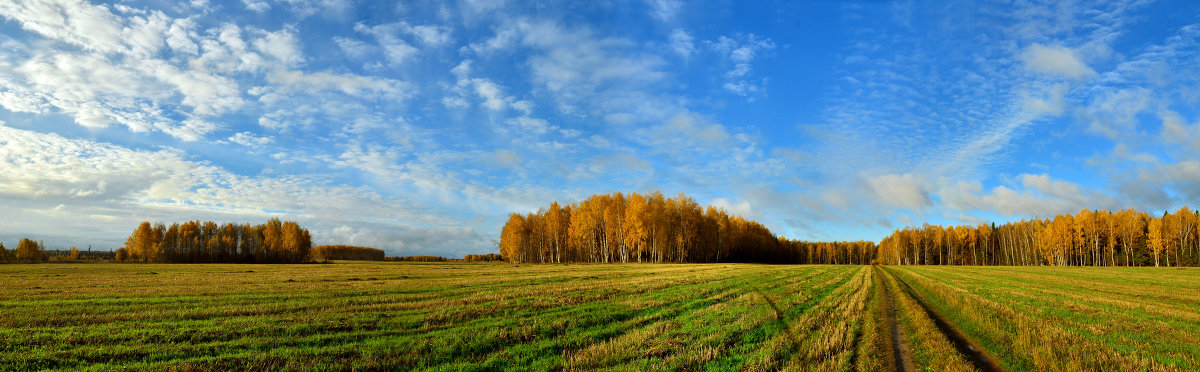 осень - Алексей Бачаев