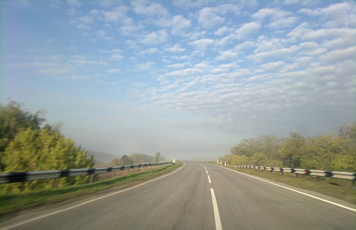 дорога в туман - Александр 