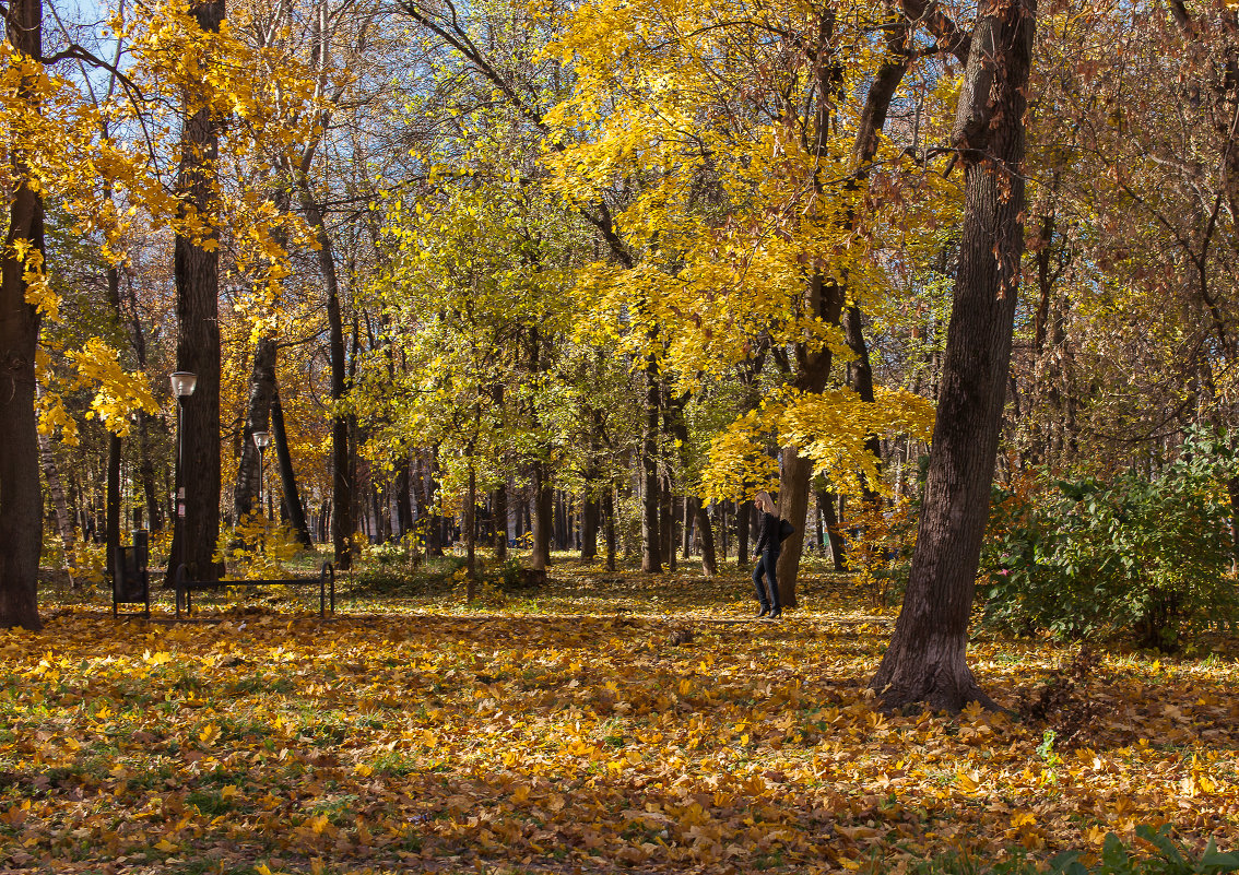 * - Максим Баранцев