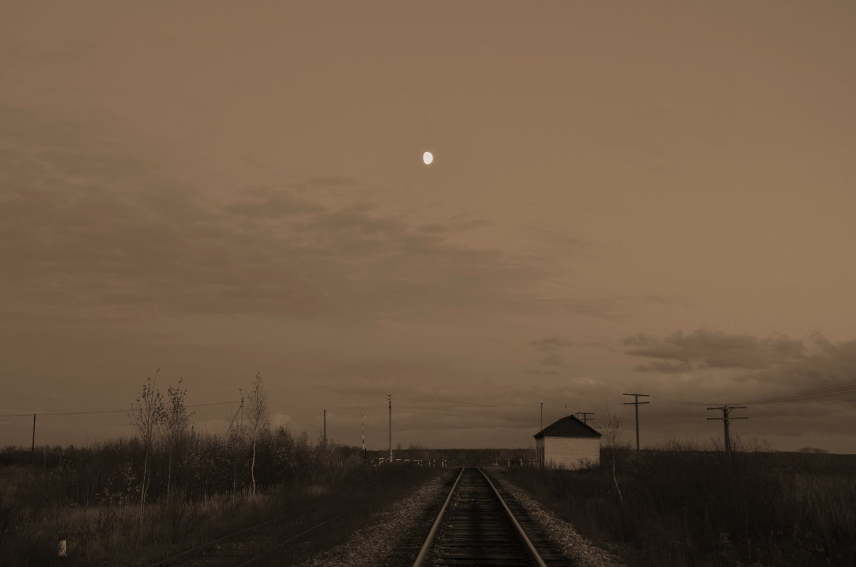 Лунный переезд - Андрей Зайцев