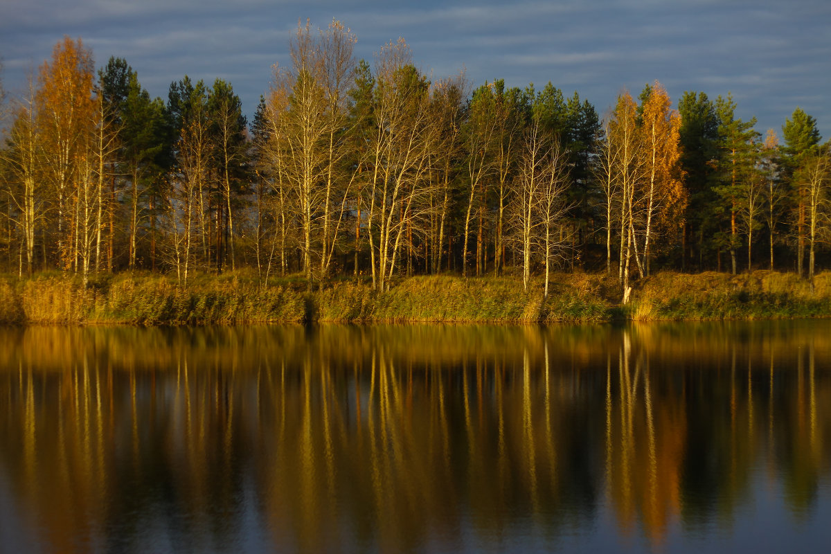 Осень - Денис Матвеев