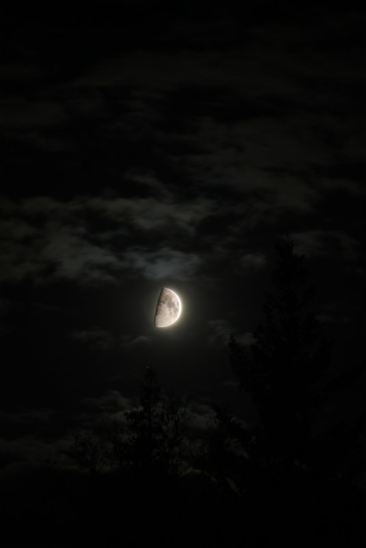 Ночь. Луна. - dmitriy-vdv 