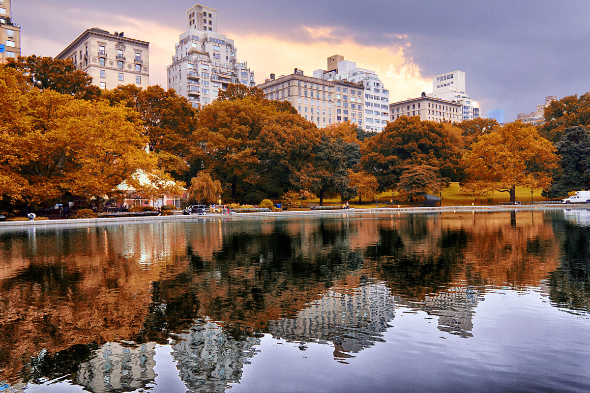 Central park - Роман Годовалов