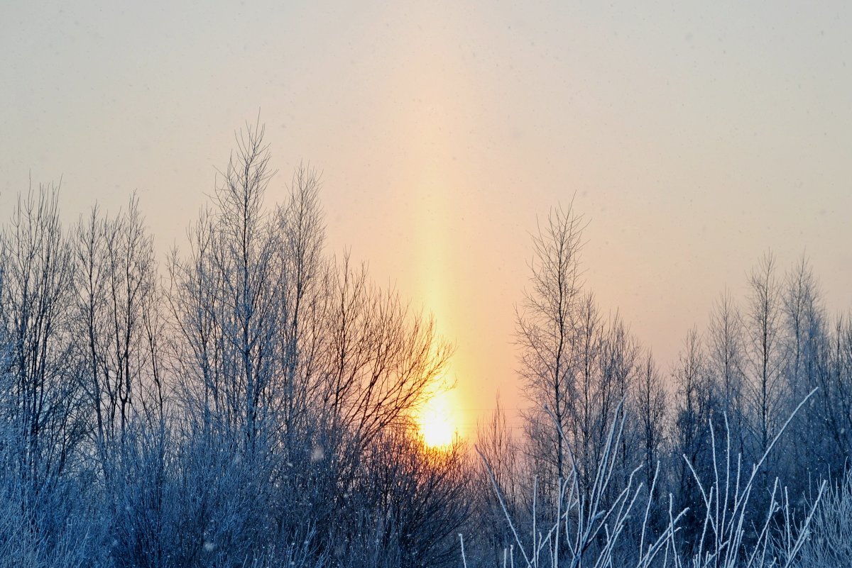 Восход зимой - Александр Сергеев