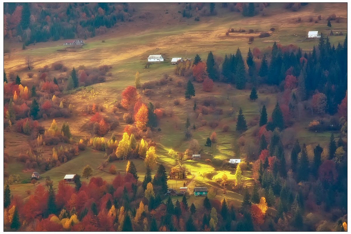 золота осінь - Андрій Кізима