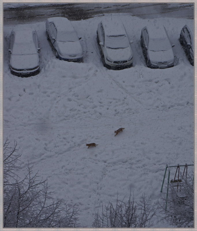 зима в городе - павел Труханов