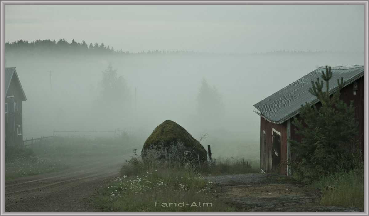 Туман - Farid Almukhametov