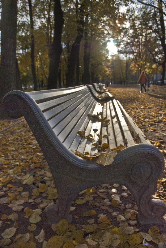 Осенний парк - Инна Шолпо