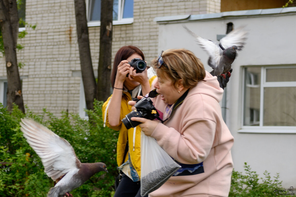 Голуби.... - Андрей + Ирина Степановы