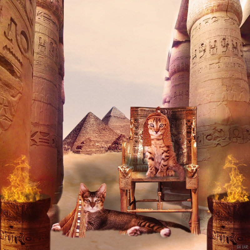 Коллаж Кошки Древнего Египта - Наталья (ShadeNataly) Мельник