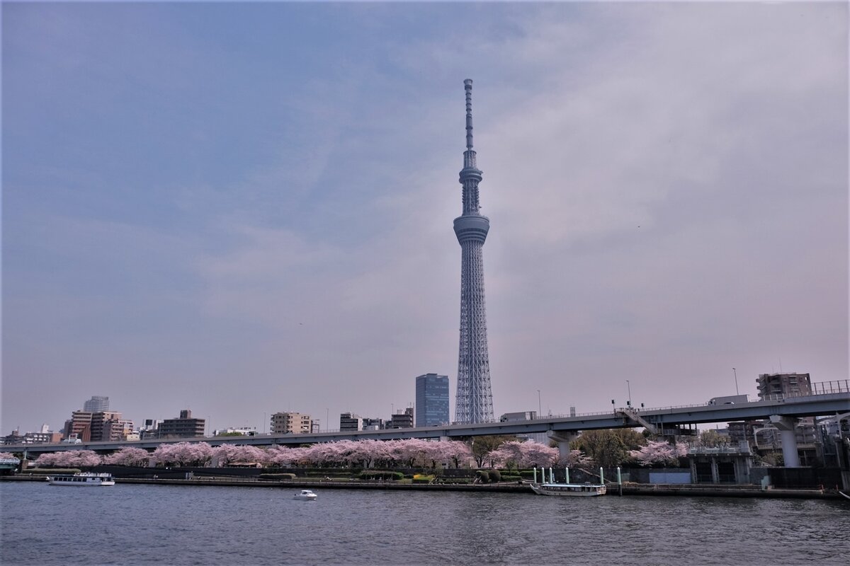 "Tokyo Sky Tree" TV башня Токио Япония - wea *