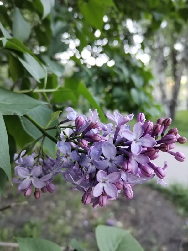 Весна в Челябинске - РУСЛАН ИЛЬЧИНСКИЙ