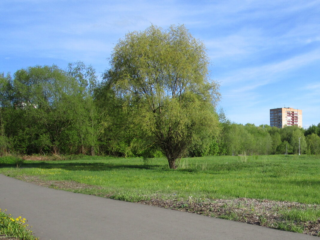 Городские зарисовки. - Ольга Довженко