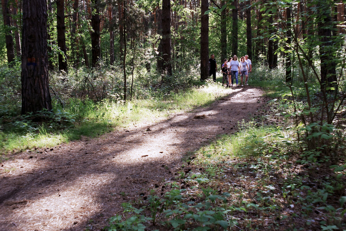 Лес — лучшее место для прогулок и отдыха с семьёй - Сергей Царёв