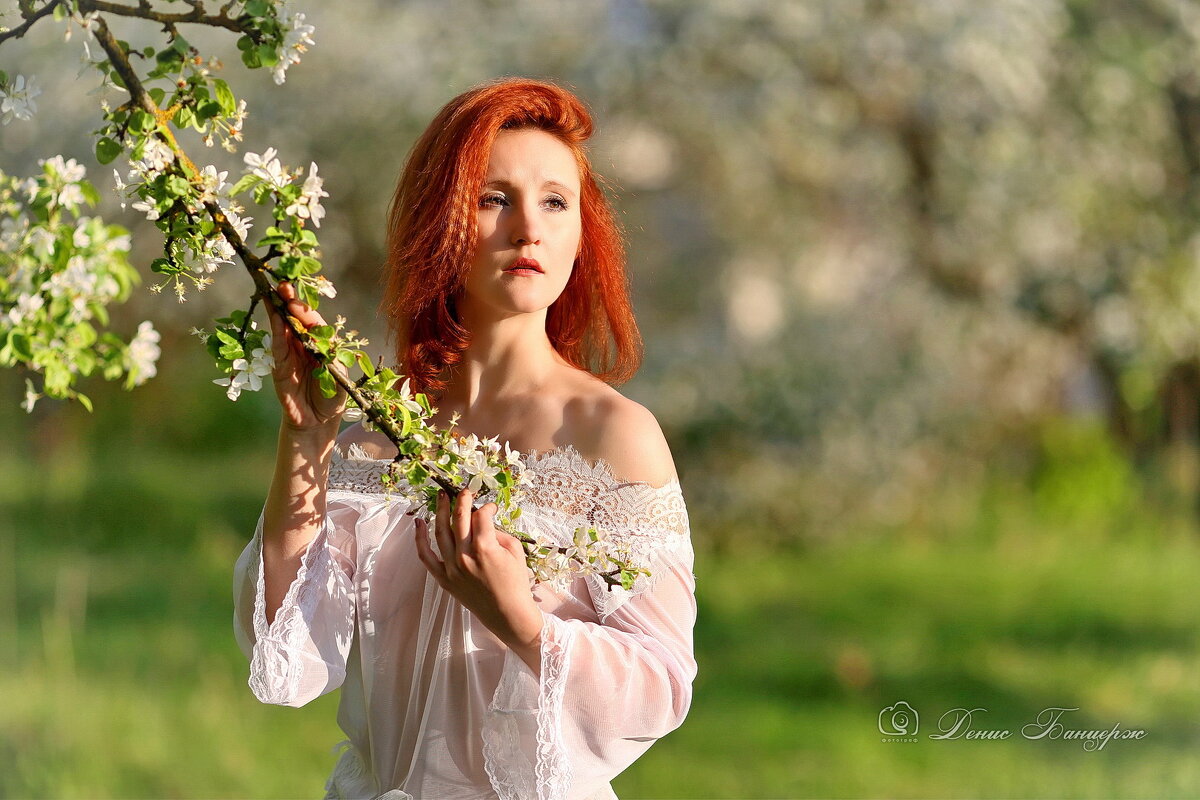 Яблони в цвету - Денис Банцерж