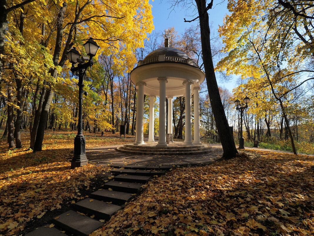 Прогулка в Царицыно, осень - Евгений Седов