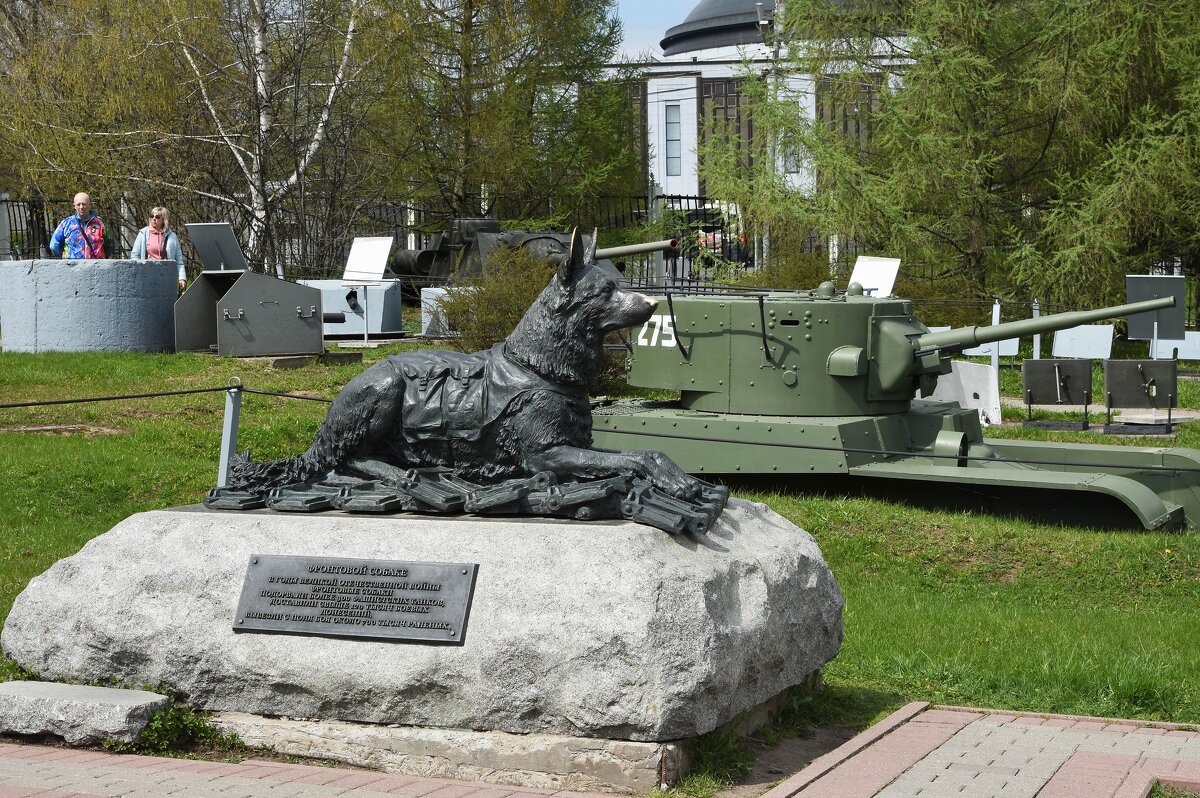 Москва. Парк Победы. Памятник фронтовой собаке. - Наташа *****