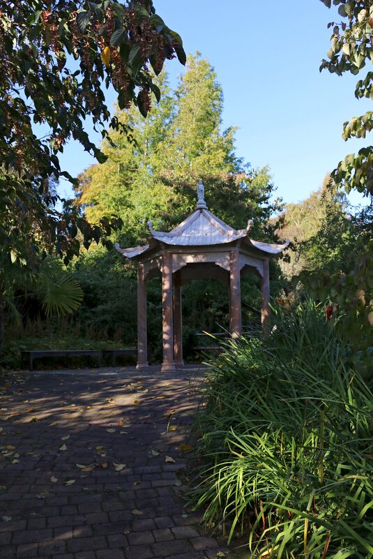 В ботаническом саду Эдинбурга - Ольга 