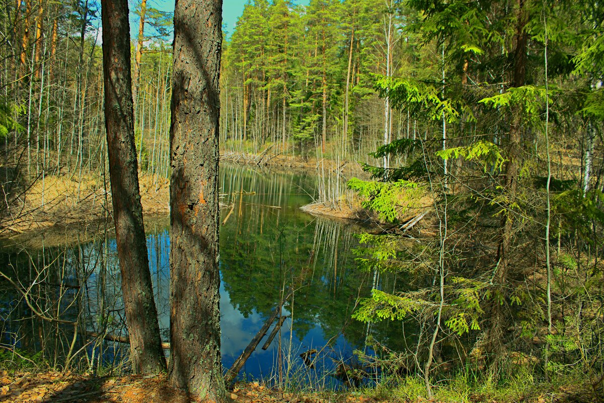 Кировская обл. - Татаурова Лариса 