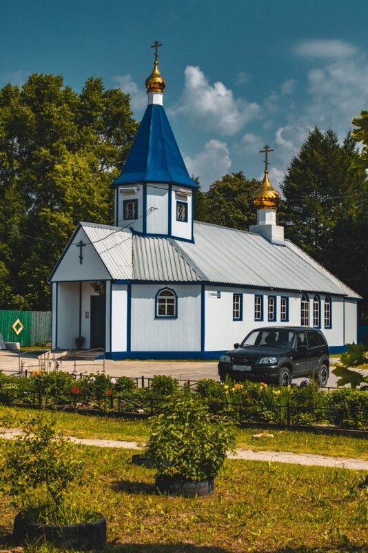 Храм Покрова Пресвятой Богородицы - Дмитрий Петров