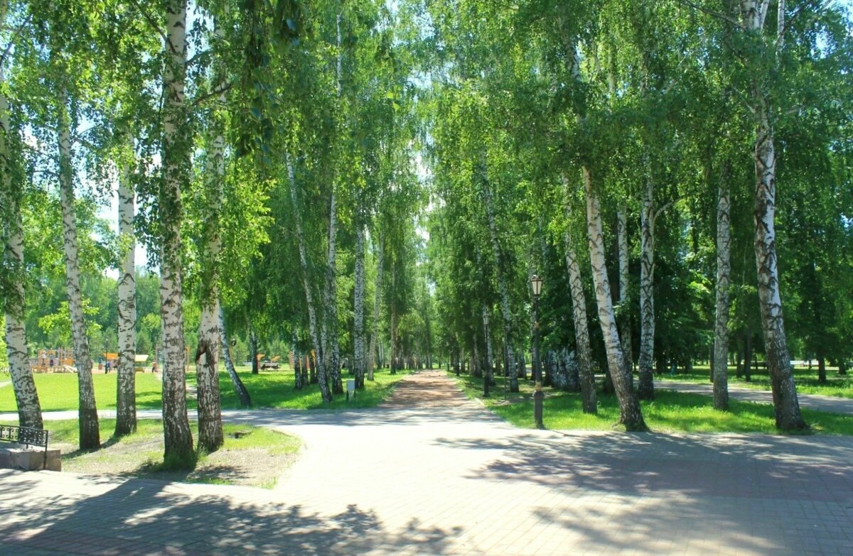 В городском парке - Горкун Ольга Николаевна 