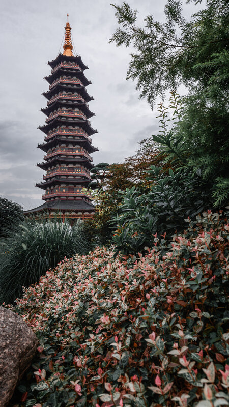 Пагода в парке города Цзиньхуа - Дмитрий 