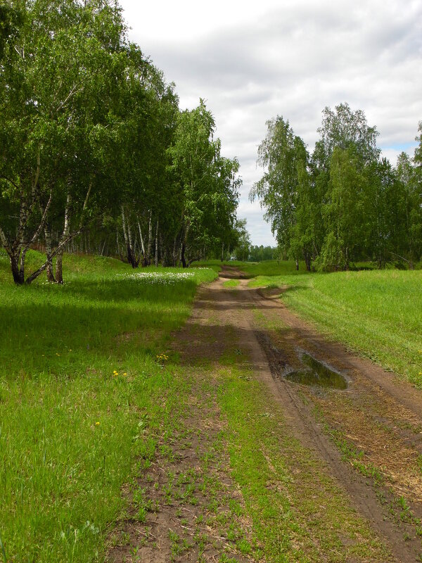 Дорога в лето. - nadyasilyuk Вознюк