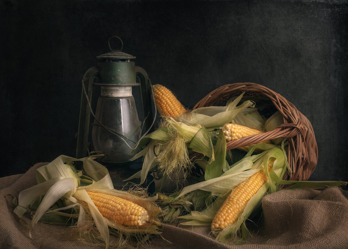 натюрморт с кукурузой - Максим Вышарь