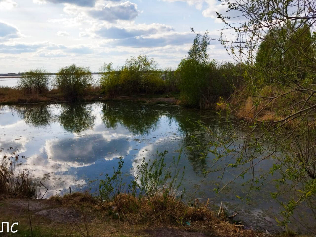 Озеро Андреевское в Тюменской области - Любовь 