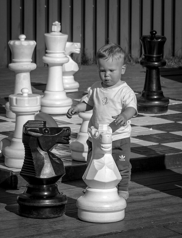 Задача для юного гроссмейстера - Магомед .