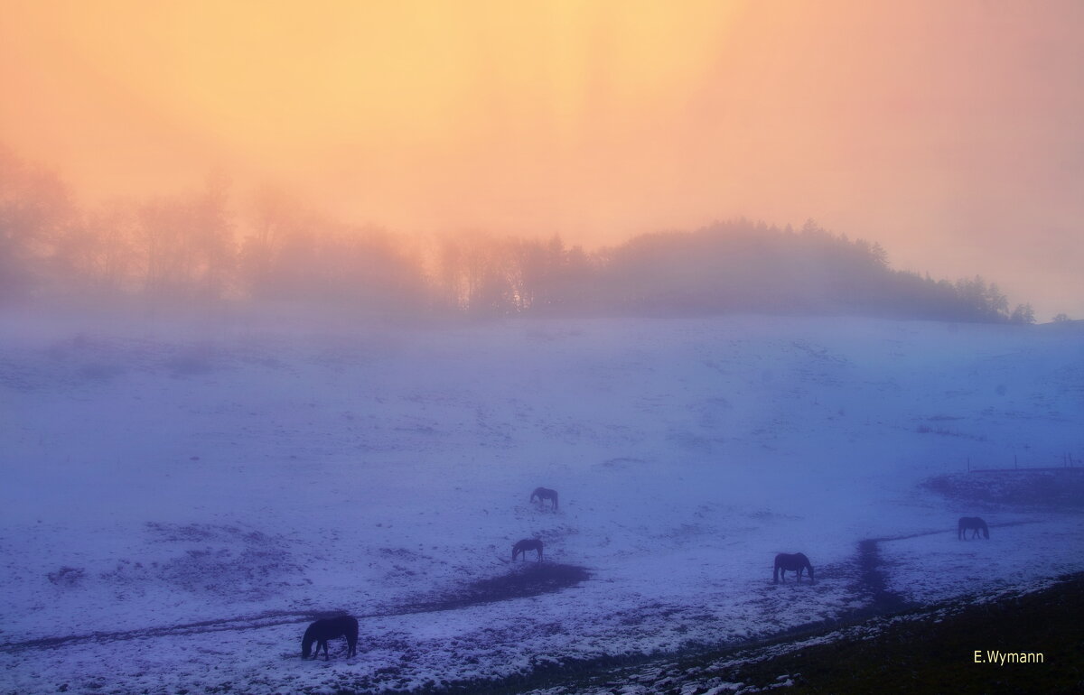 winter evening - Elena Wymann