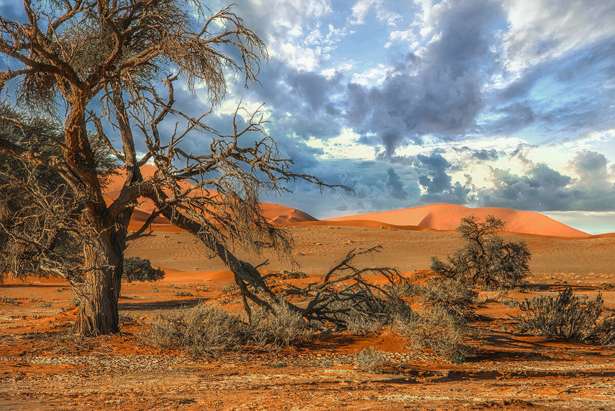 Пустыня - svabboy photo