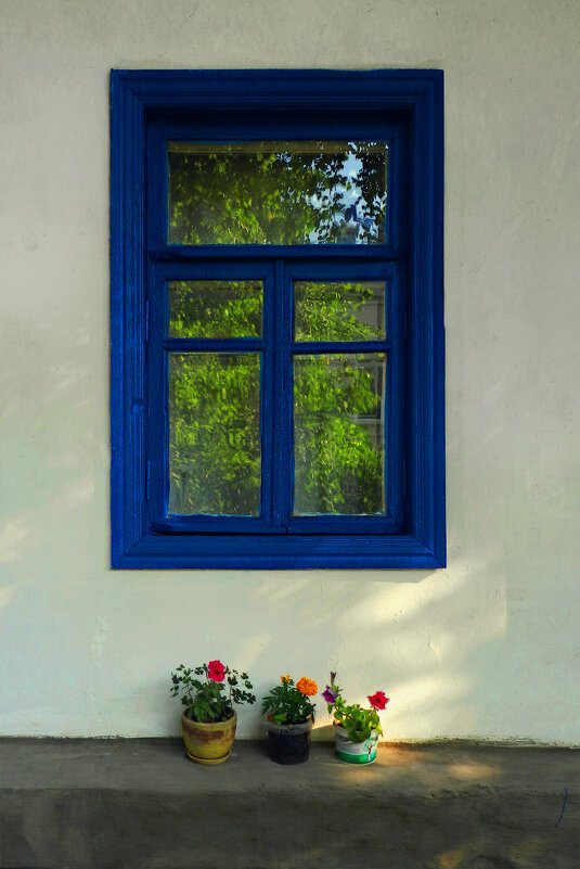 окно - Лера 