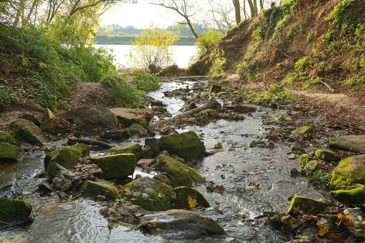 Ущелье Горчаковщинского водопада - Анастасия Софронова