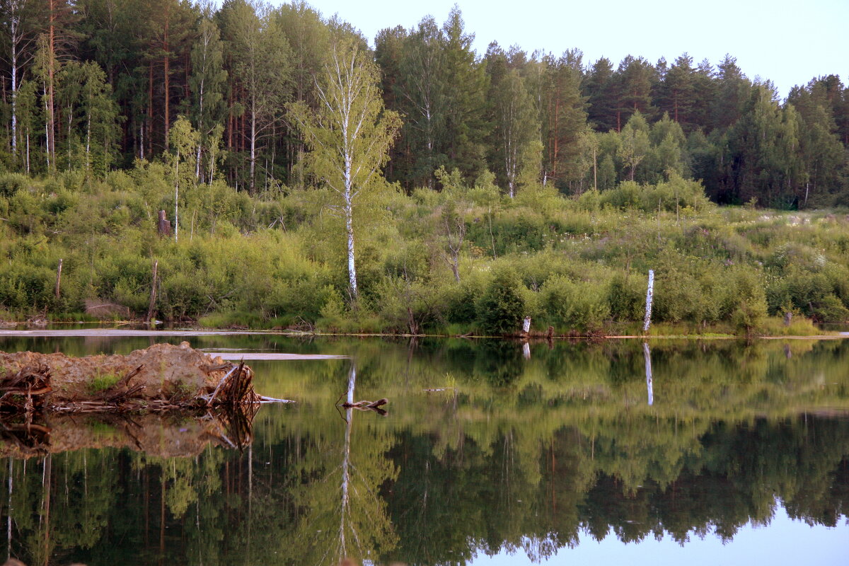 Озеро в лесу - Нэля Лысенко