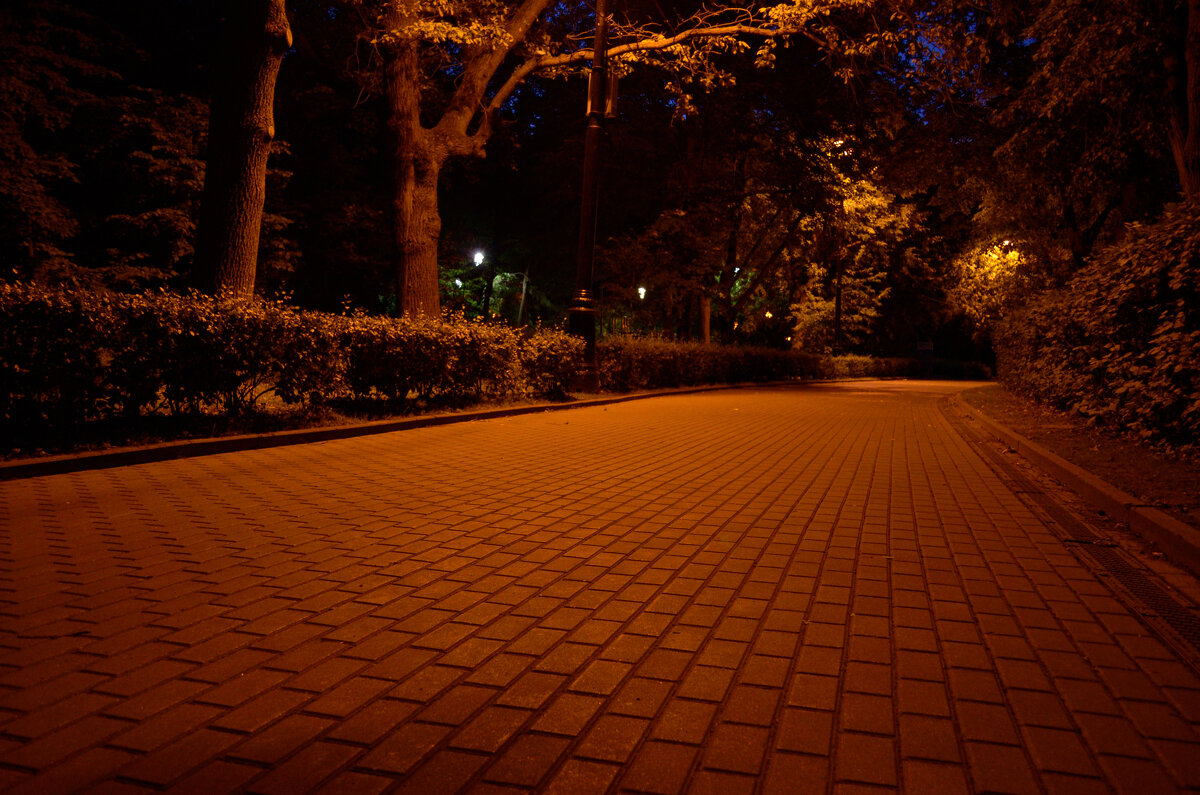 Ночной парк - Andrey Petrukhin