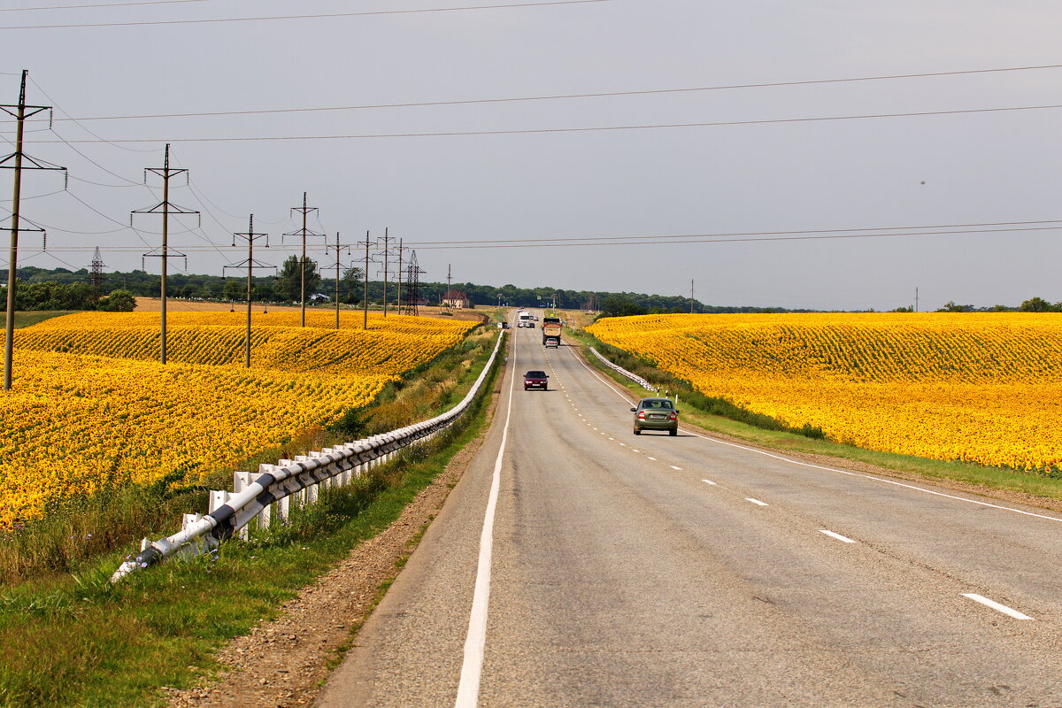 Yellow Road - M Marikfoto