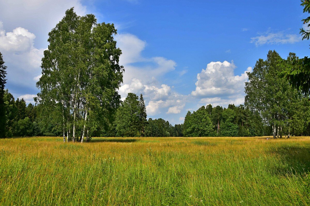 *** - Дмитрий Лупандин