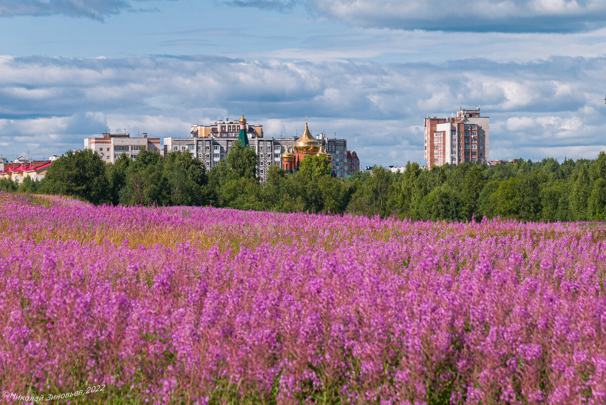 Ухтинский Прованс) Республика Коми - Николай Зиновьев