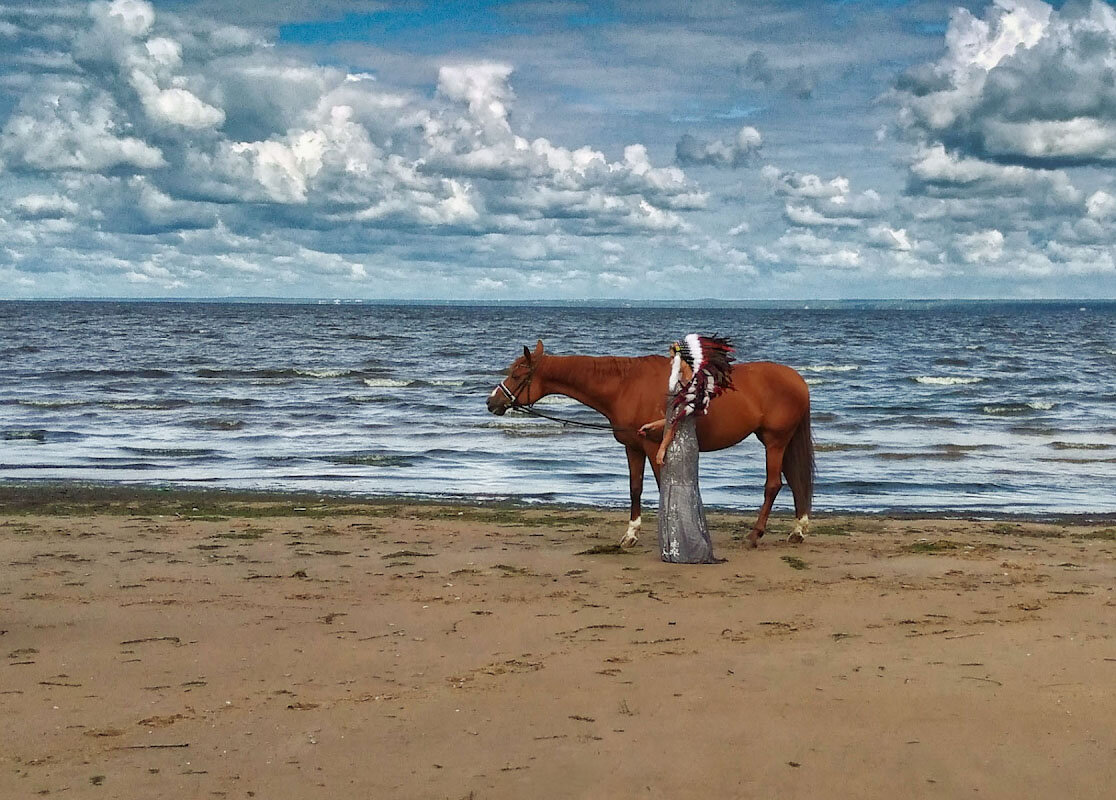 Лошади в бабье лето