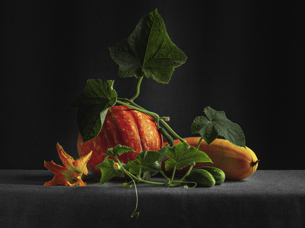 Овощной натюрморт - Ирина Лаврова